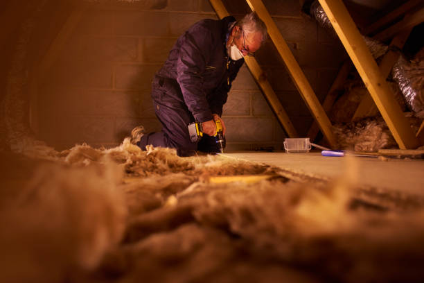 Best Crawl Space Insulation  in Astor, FL